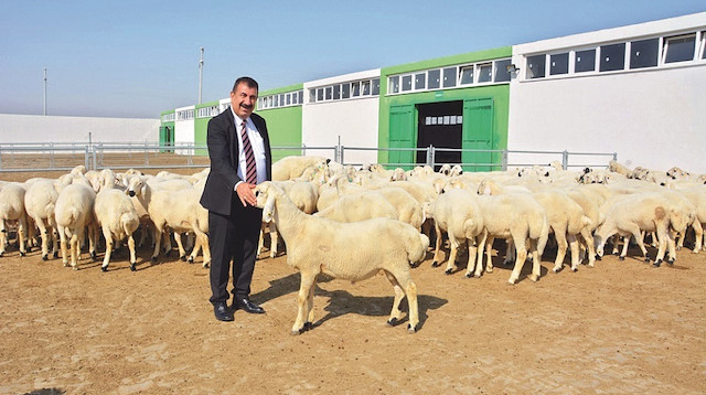 Et ve Süt Kurumu’nun elde kalan kurbanlıkları satın aldığına da dikkat çeken Nihat Çelik; “Bakanımız Sayın Prof. Dr. Vahit Kirişci  ile Et ve Süt Kurumu’muza yetiştiricilerimizi mağdur etmedikleri için sektörümüz adına teşekkür ediyoruz“ dedi.