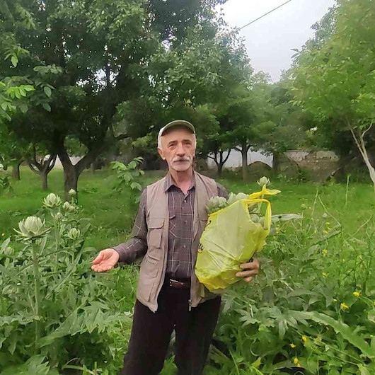 Atıl durumdaki arazisinde tarım yaptı çıkan sonuç şaşırttı: Bunu eken karlı iş yapmış olur