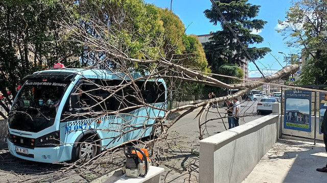 İçinde yolcuların olduğu minibüsün üstüne ağaç devrildi.