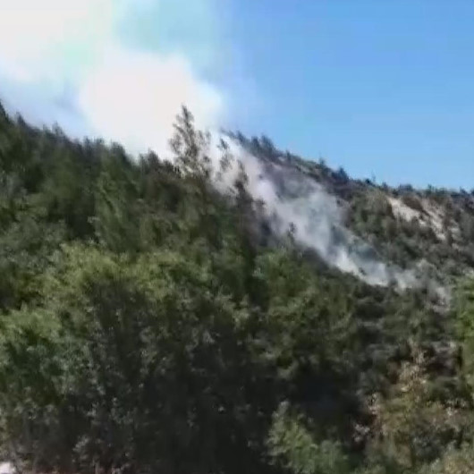 Karaman'da çıkan orman yangını söndürüldü