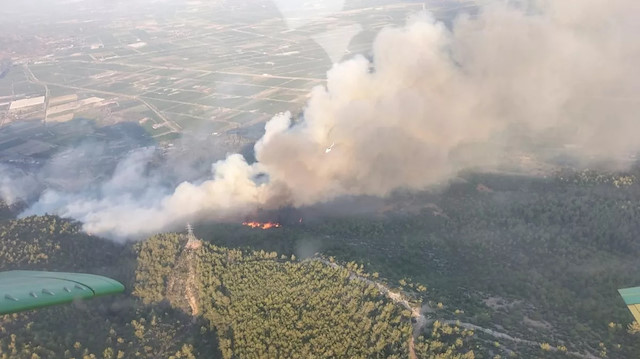 Aydın'daki orman yangını