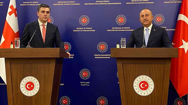 Gürcistan Dışişleri Bakanı Ilia Darchiashvili ve Dışişleri Bakanı Mevlüt Çavuşoğlu.