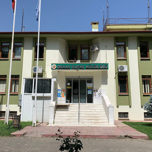 İki ilde orman işletme müdürlükleri kurulacak