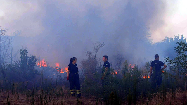 Edirne'de Meriç Nehri kıyısında çıkan otluk yangını söndürüldü