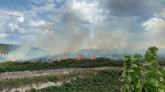 Kocaeli Gebze ilçesinde çıkan orman yangınına müdahale ediliyor