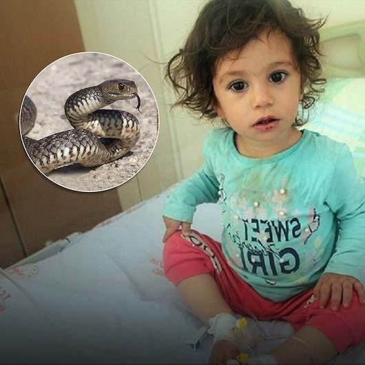 Bingöl'de şoke eden olay: 2 yaşındaki çocuk kendisini sokan yılanı ısırdı
