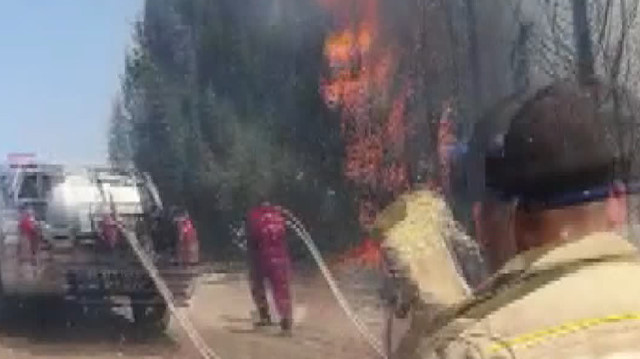 İzmir Buca'da orman yangını