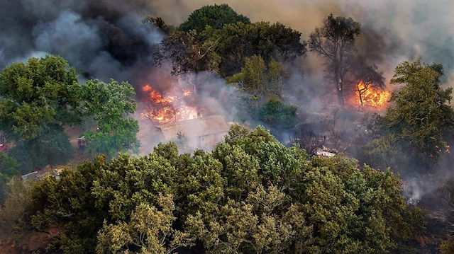 Yangında şu ana kadar 7 bin 400 hektarlık yeşil alan küle döndü. 