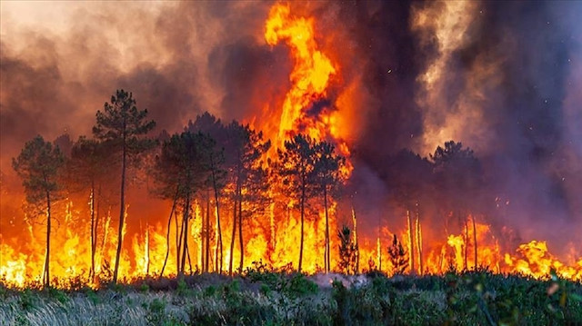 فرنسا.. اعتقال 25 شخصا للاشتباه في تورطهم بحرائق الغابات