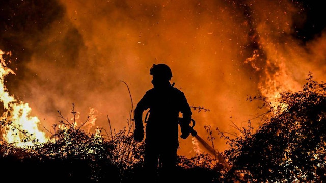 Yıl başından bu yana ülkede 37 büyük orman yangını çıkarken 200 bin hektardan fazla alan kül oldu.
