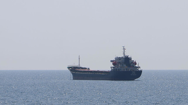 Ukrayna'dan 3 bin ton ayçiçeği taşıyan gemi, Tekirdağ açıklarında