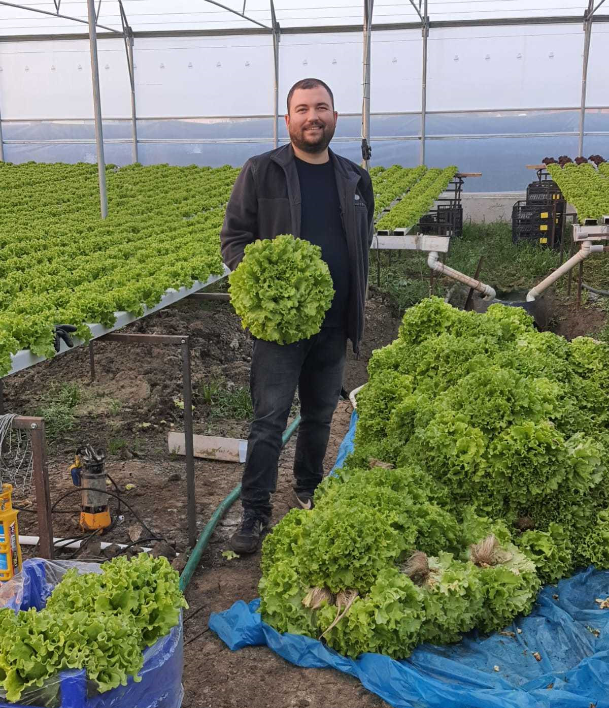 Şehirden göçerek gelen 35 yaşındaki Gökhan Başar Silivri Belediyesi’nin desteğiyle topraksız tarıma başladı. Serasında kıvırcık yetiştiren genç çiftçi destek için teşekkür etti.