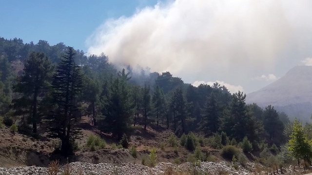 Antalya'da orman yangını: Havadan ve karadan müdahale ediliyor