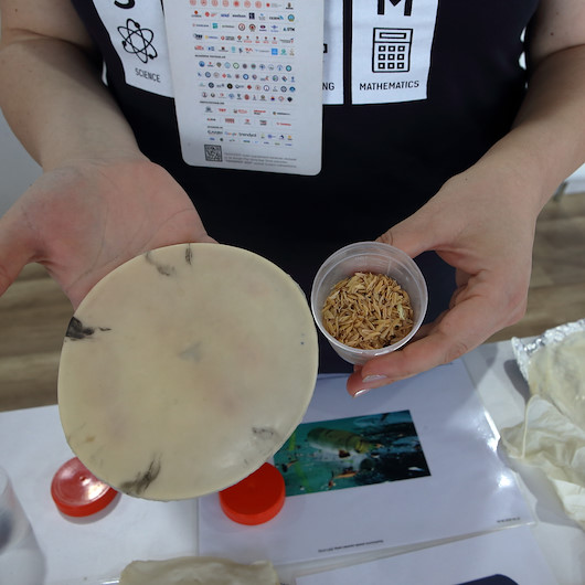 Öğrenciler pirinç kabuğundan ürettikleri malzemeyle plastiğe rakip olmak istiyor