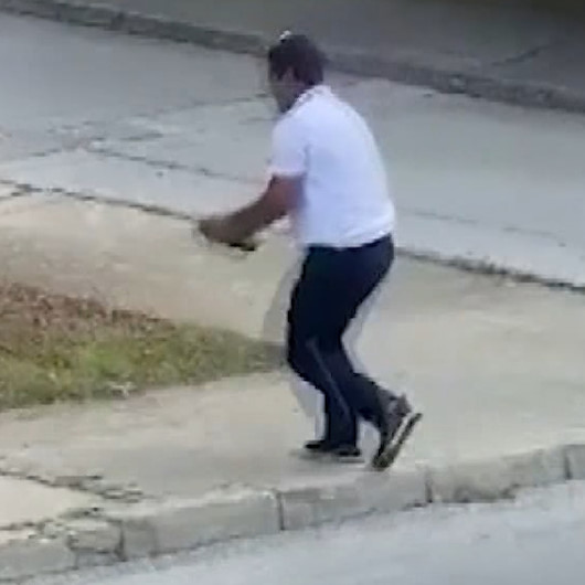 Kocaelide yolun ortasındaki kaplumbağayı ezilmekten kurtardı