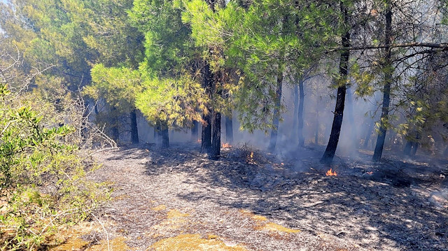 Yangına havadan ve karadan müdahale sürüyor. 