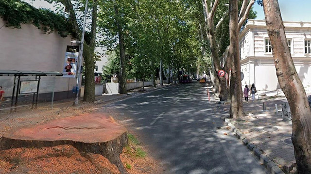 İBB Çırağan Caddesi'nde bulunan 112 ağacı izin almadan kesti.