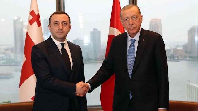 Irakli Garibaşvili-Recep Tayyip Erdoğan