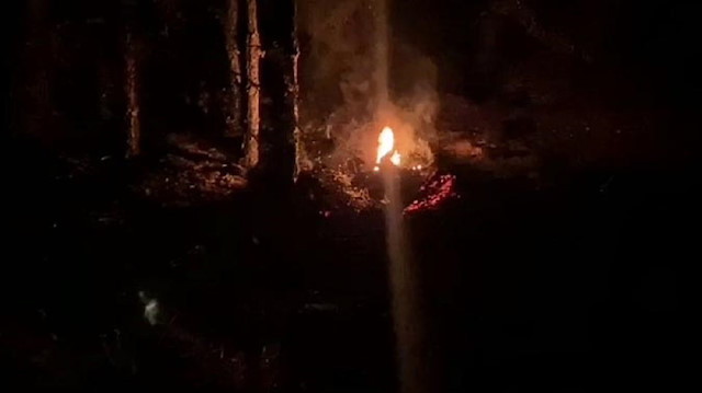 Bolu'da, orman yangını çıkarmaya çalıştığı iddiasıyla 2 şüpheli gözaltına alındı