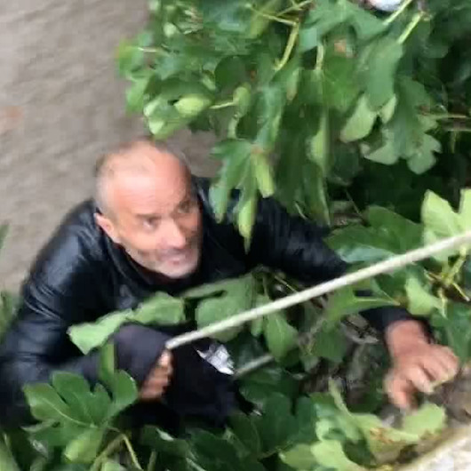 Bursada derede can pazarı