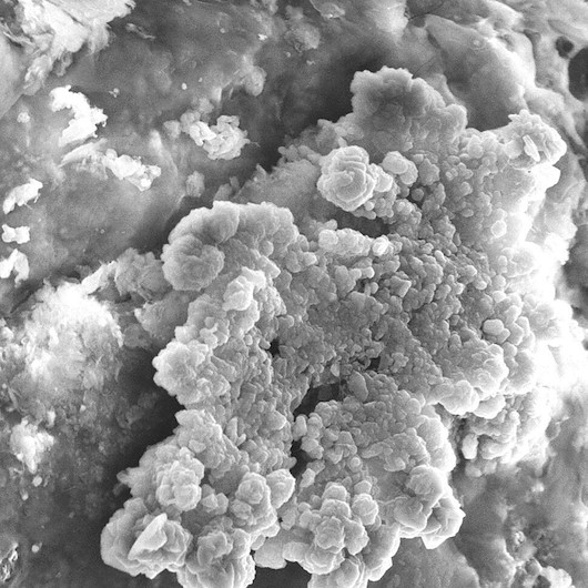Japon bilim insanları açıkladı: Asteroit tozunda bulundu