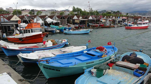 Kıyı balıkçıların umudu Batı Karadeniz taraflarından gelecek olan palamutta.