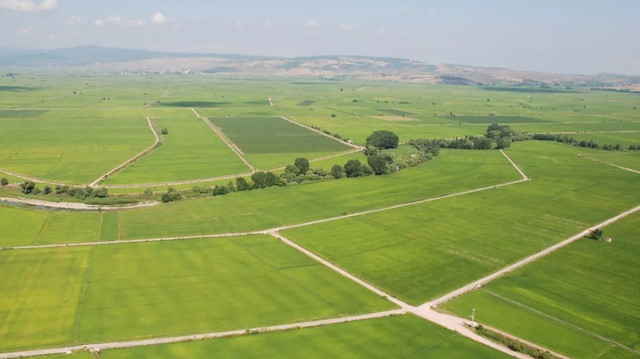 Foto/arşiv