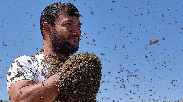 Binlerce arı vücudunda