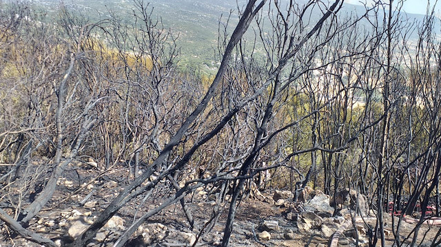  Kaş Orman İşletme Müdürlüğü ekipleri, sabaha kadar süren soğutma çalışmalarının ardından yangını tamamen söndürdü. 