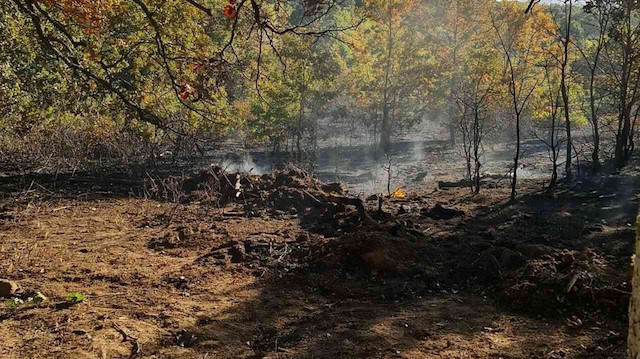 Kırklareli'nde orman yangını: 4 hektar alan zarar gördü