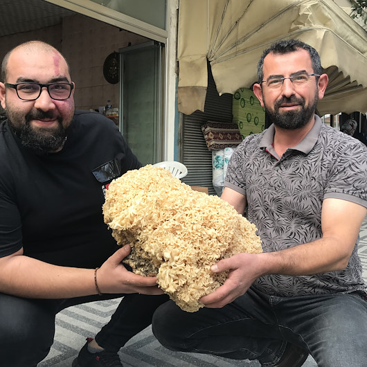 Ormanlık alanda bulundu: 6 kilo ağırlığında