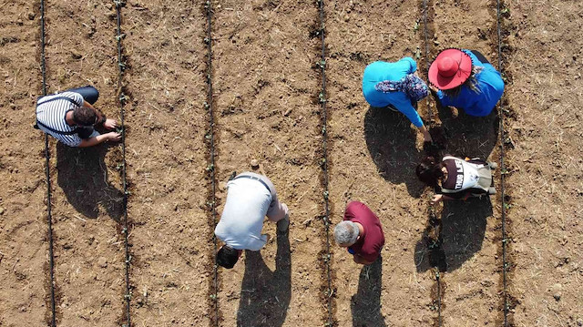 Lise öğrencileri 6 bin sebze fidesini toprakla buluşturarak üretim için ilk adımı attı