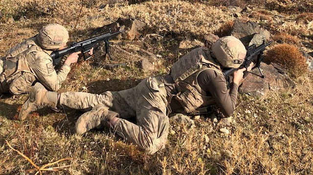  İl Jandarma Komutanlığı'nca gerçekleştirilen operasyonda, jandarma komando, polis özel harekat (PÖH) ve güvenlik korucusu 38 operasyonel tim ile 513 personel görevlendirildi.