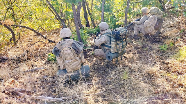 Operasyonda Jandarma Komando ve Güvenlik Korucu timlerinden oluşan 464 personel ile 40 operasyonel tim görev alıyor.