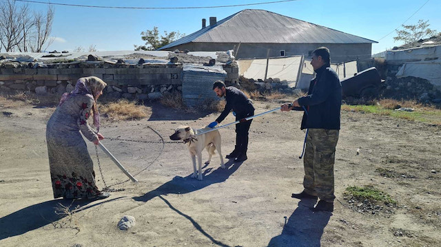 Bitlis'te kuduz paniği: Ekipler harekete geçti