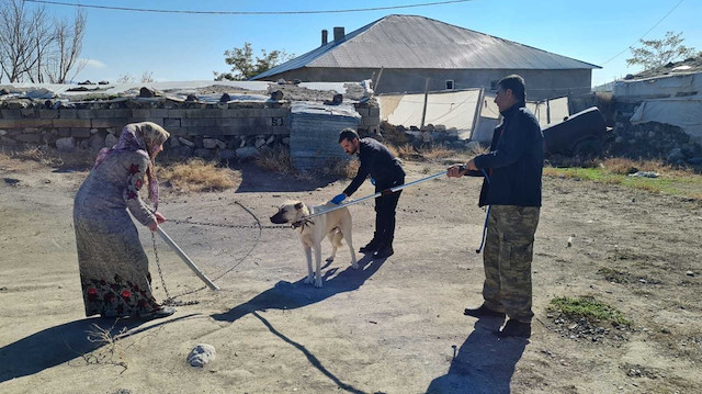 Köpeğin ısırdığı çocuk kuduz oldu: Hırçınlaştı ve sudan korkuyor