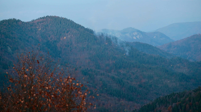 Yedigöller Milli Parkı yolunda çıkan orman yangını kontrol altına alındı.