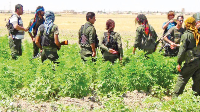 ​Türkiye’de kan döken PKK Avrupa’yı ise zehirliyor.