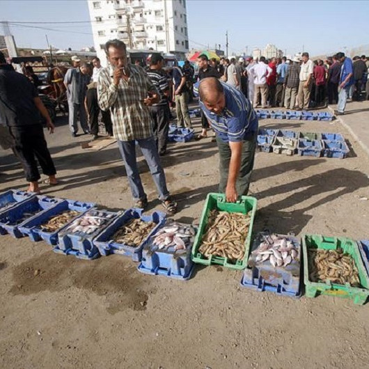 منع الاحتلال الإسرائيلي تسويق أسماك غزة بالضفة يُوقف حركة الصيد