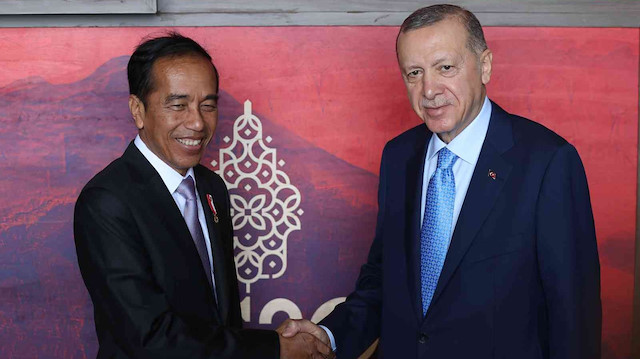 Cumhurbaşkanı Recep Tayyip Erdoğan, Endonezya Devlet Başkanı Joko Widodo.