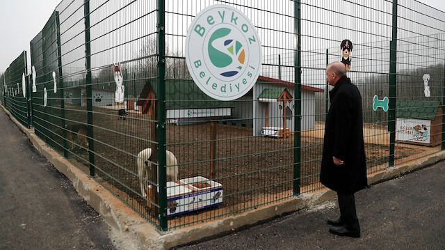 Cumhurbaşkanı Erdoğan, Beykoz Belediyesi Hayvan Rehabilitasyon Merkezini ziyaret etmişti.