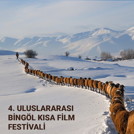 Dördüncü Bingöl Uluslararası Kısa Film Festivali'nde finalistler belli oldu