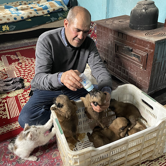 Elazığ’da yürekleri ısıtan görüntüler: Sokakta donmak üzereyken bulduğu köpek yavrularını biberonla besliyor