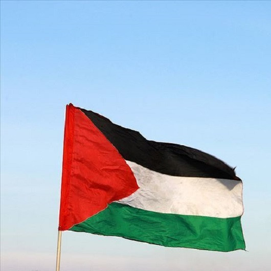 فلسطين تشيد بالتصويت على قرارات لصالحها بالأمم المتحدة
