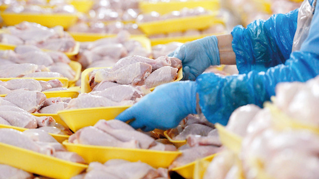 ​​Türkiye, kanatlı hayvan (tavuk, hindi vb) ihracatında yıllık 1.5 milyar dolar seviyesine yaklaştı