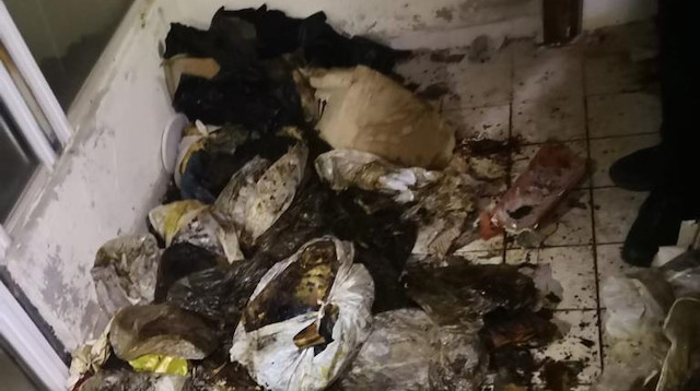 Evde yapılan aramada 20'nin üzerinde çürümüş kedi ve köpek ölüsü bulundu
