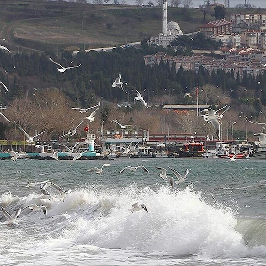 Marmara'da lodosun engel olduğu deniz ulaşımı normale döndü
