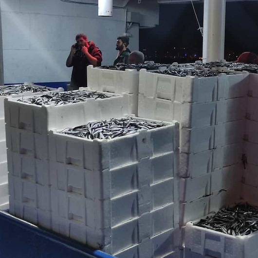 Cide'de denize açılan balıkçılar beş bin kasa hamsi ile döndü