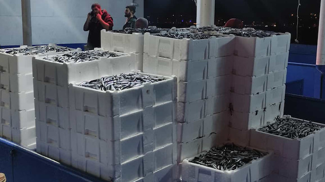 Kastamonu'da balıkçılar limana kasalar dolusu hamsiyle döndü