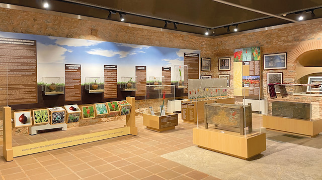 Emirgan Korusu’ndaki Lale Müzesi, 2 buçuk yıllık aranın ardından yeniden ziyaretçileriyle buluştu.